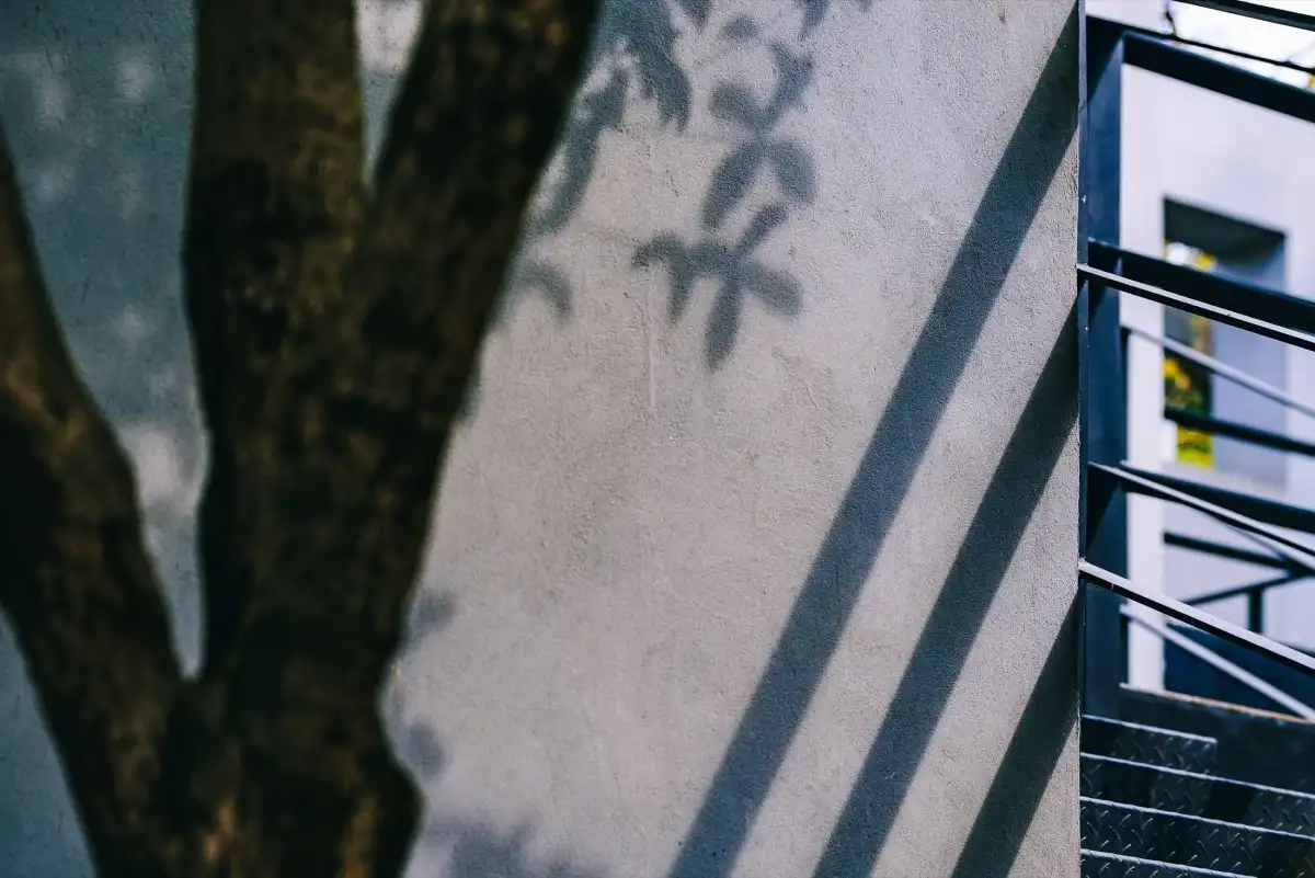 Tree shadow and railing aligned on a wall.